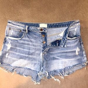 Gilded Intent Shorts